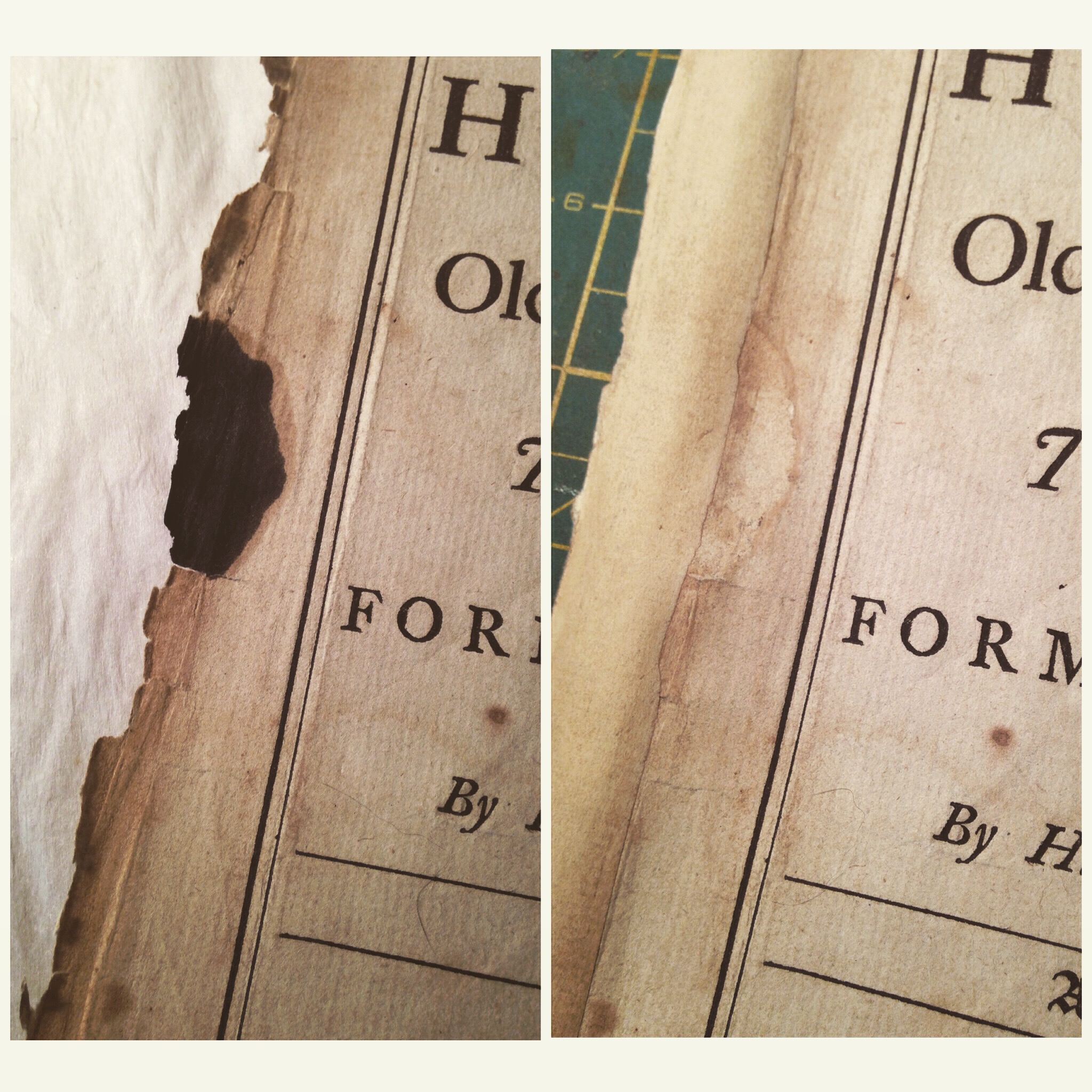 Before & After Grease Stain Removal.