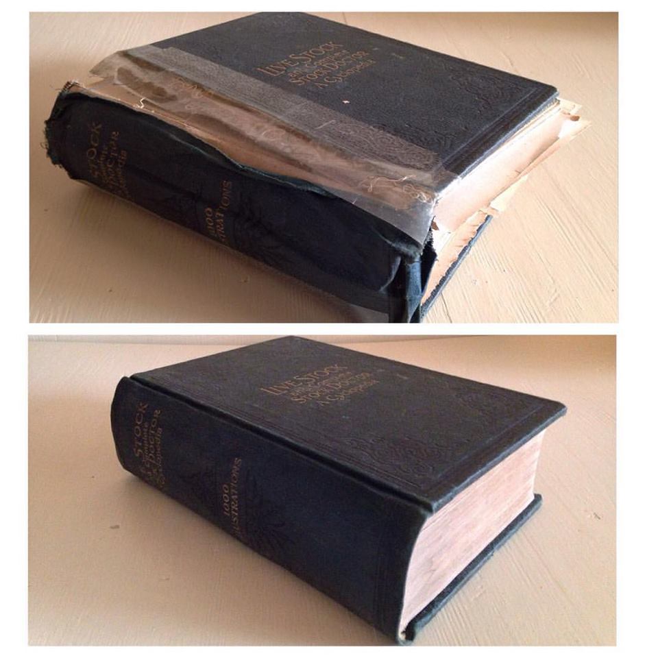 Live Stock and Complete Stock Doctor A Cyclopedia, 1913. 