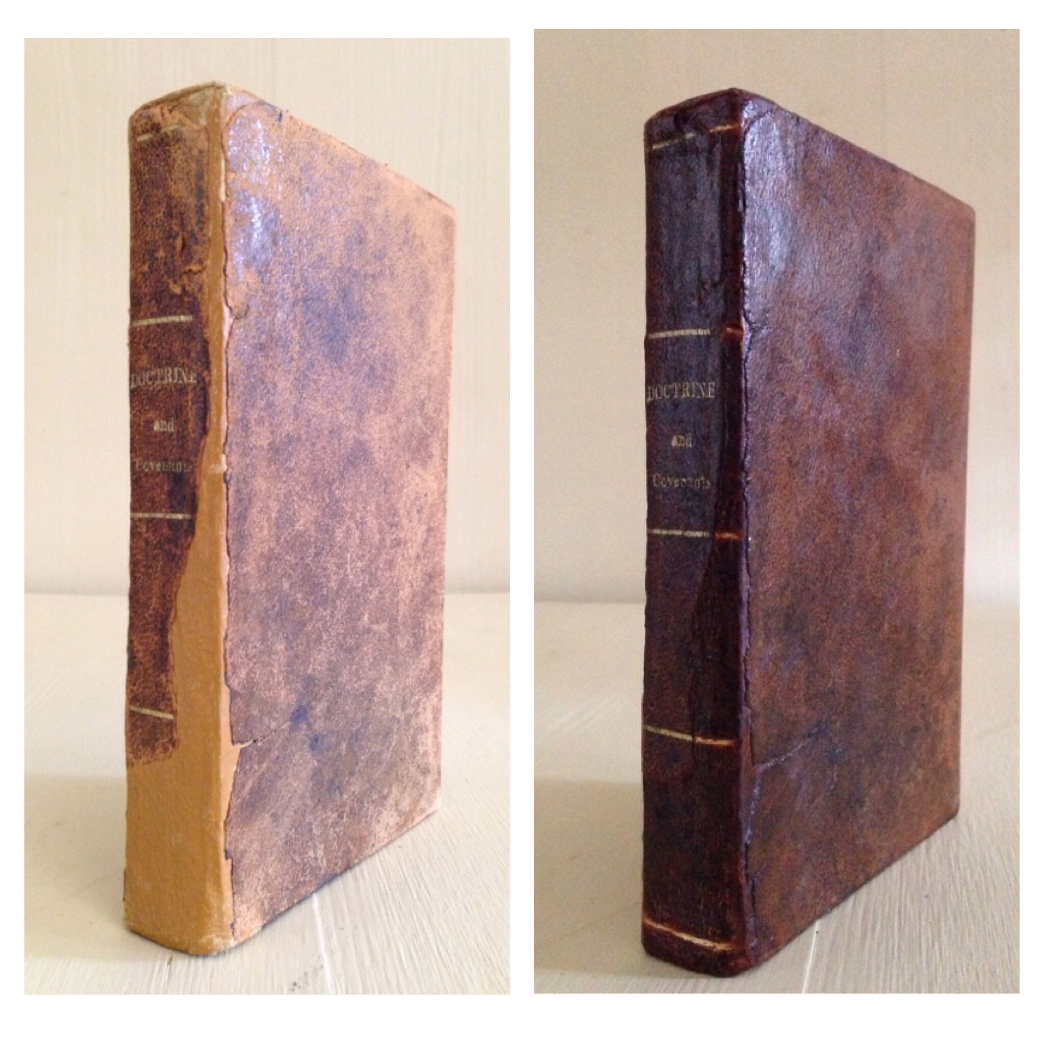 1835 D&C. Spine repair & leather restoration.